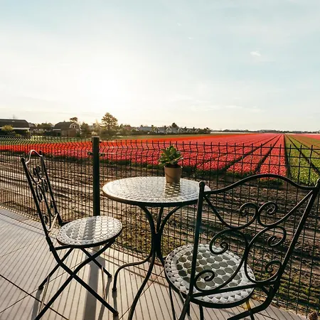 Apartment Bos, Duin En Huisje