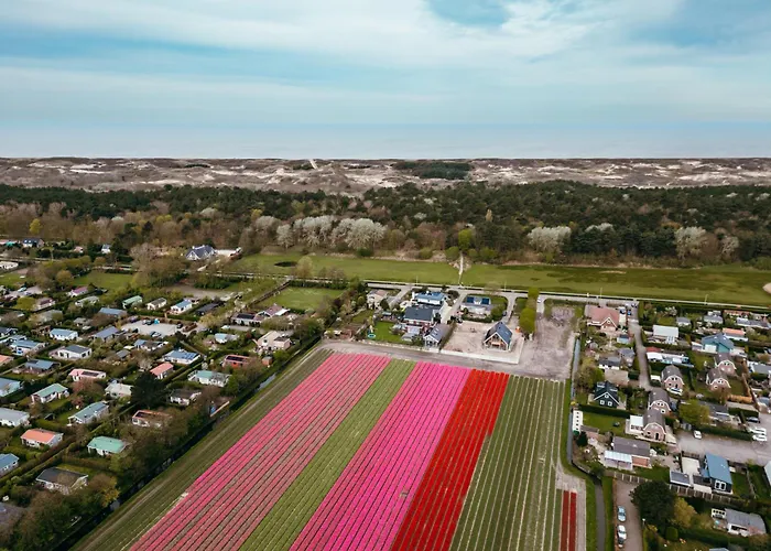 Apartment Bos, Duin En Noordwijk