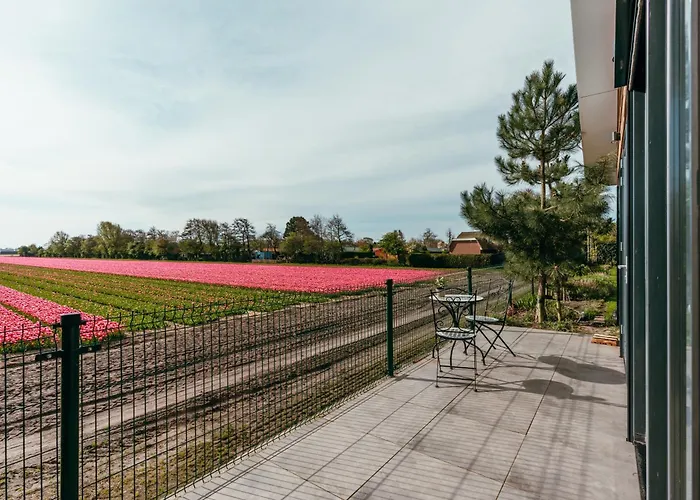 Bos, Duin En Lejlighed Noordwijk